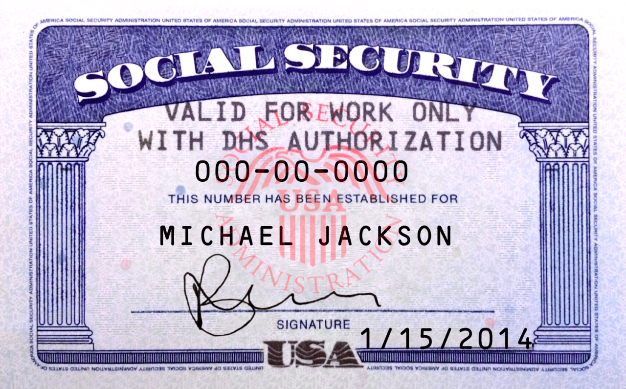Giving your social security number on an online job application