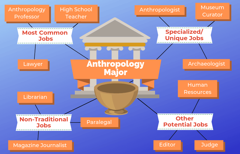 Jobs with an anthropology bachelor's degree