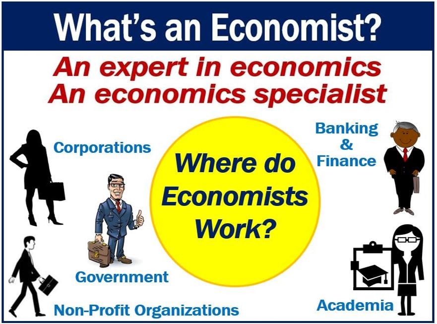 Can an economist work as an accountant
