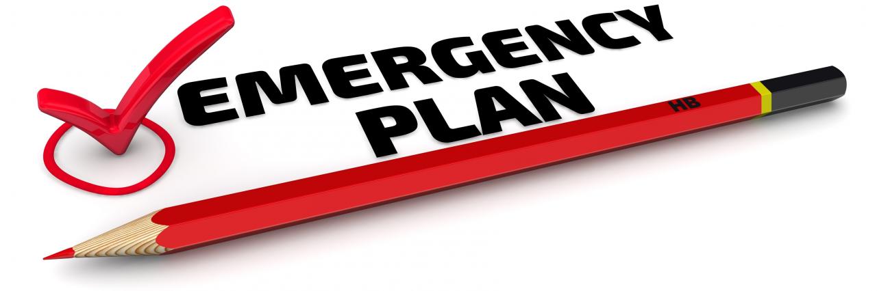 An emergency action plan must be established