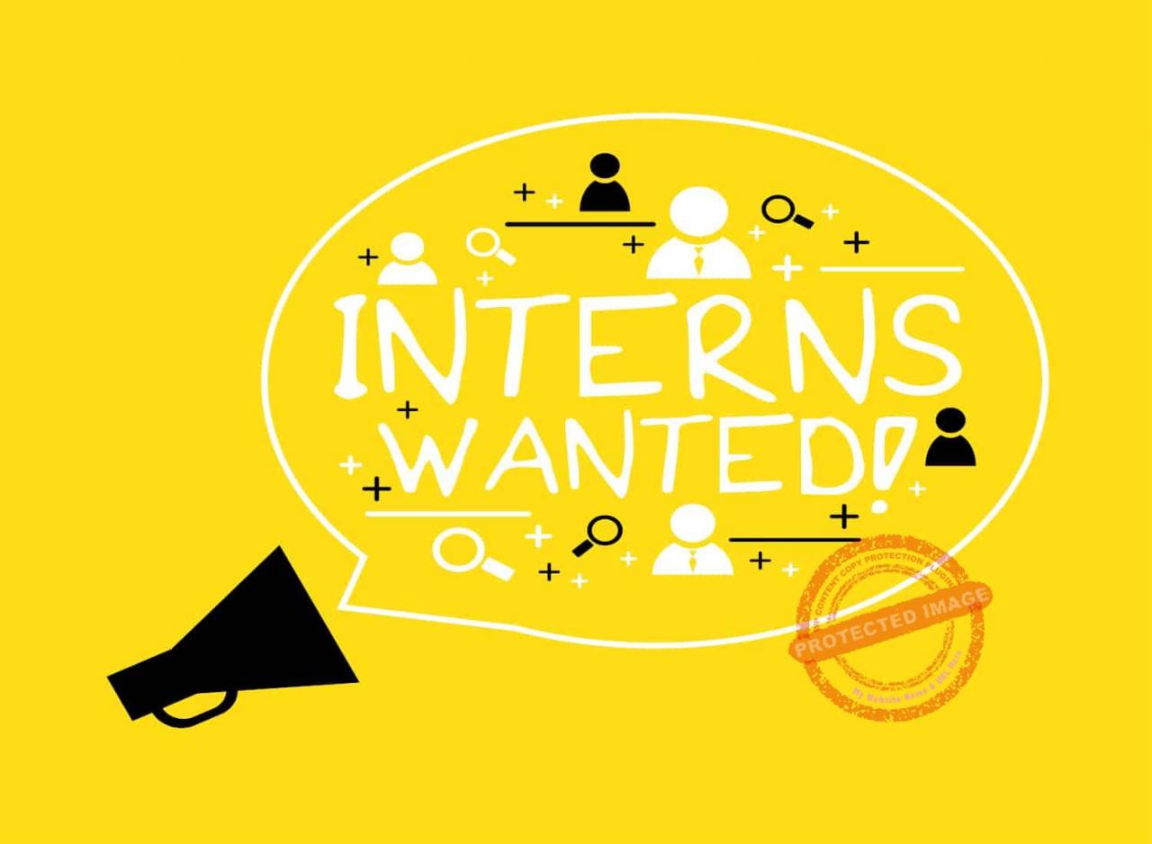 How do i hire an intern for a small business