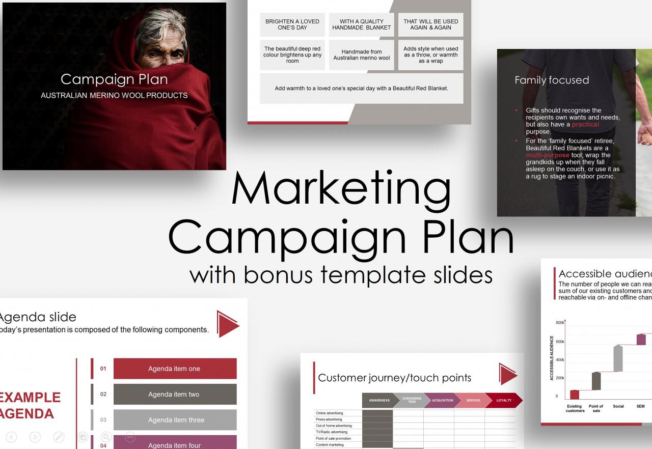 Advertising campaign planning developing an advertising based marketing plan