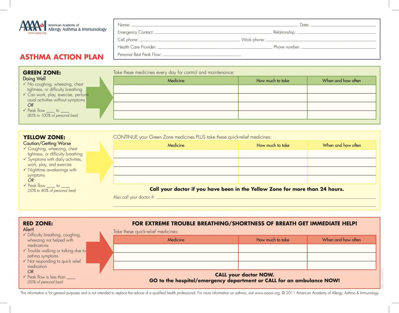 An action plan is best defined as the plan