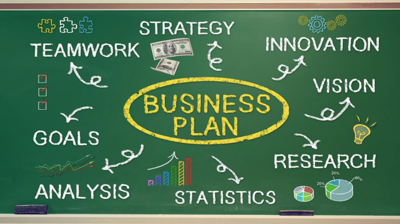 Business plan for an established business