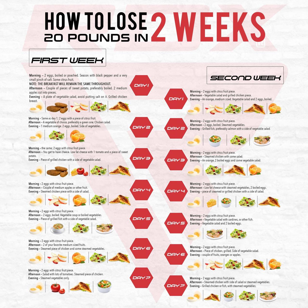 An effective diet plan to lose weight