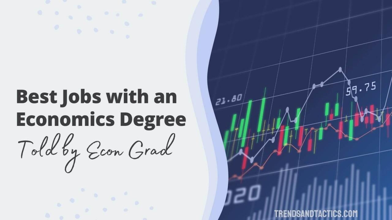 What jobs can an economics degree lead to